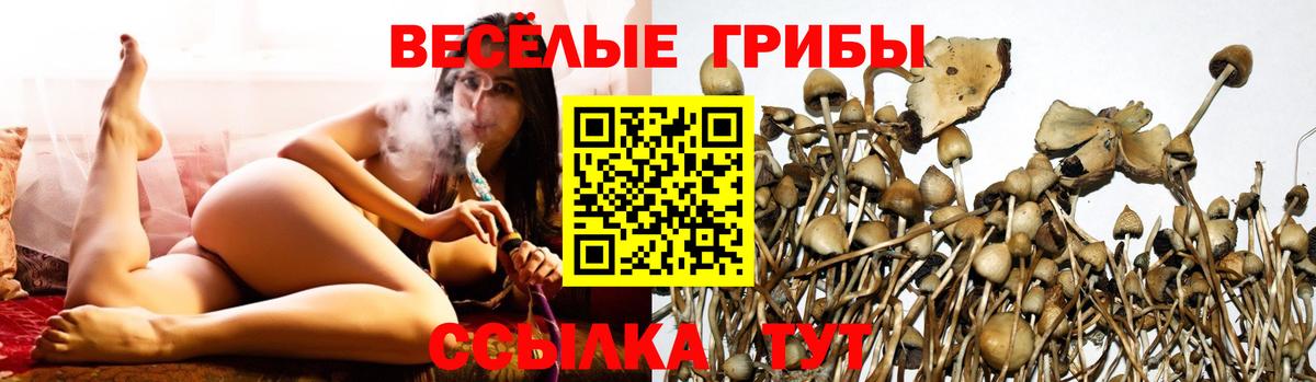 Галлюциногенные грибы GOLDEN TEACHER Лысьва